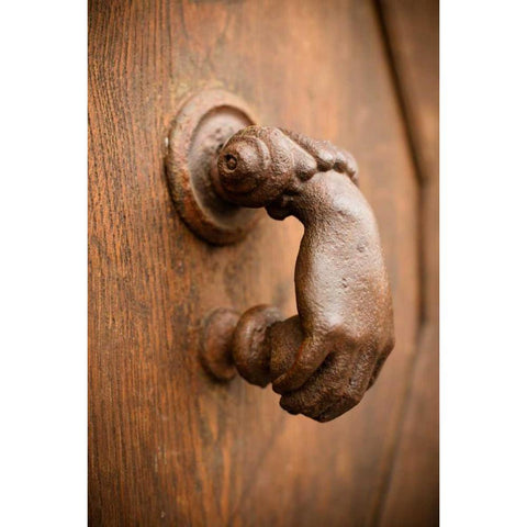 French Door Knocker I Black Modern Wood Framed Art Print with Double Matting by Berzel, Erin