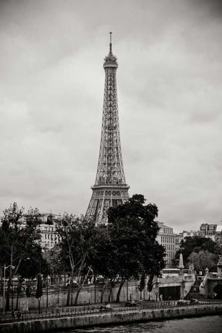 Eiffel Tower BW I Black Ornate Wood Framed Art Print with Double Matting by Berzel, Erin