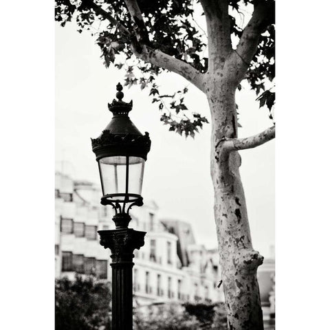 Parisian Lightposts BW II Gold Ornate Wood Framed Art Print with Double Matting by Berzel, Erin