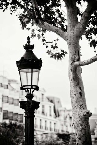 Parisian Lightposts BW II White Modern Wood Framed Art Print with Double Matting by Berzel, Erin