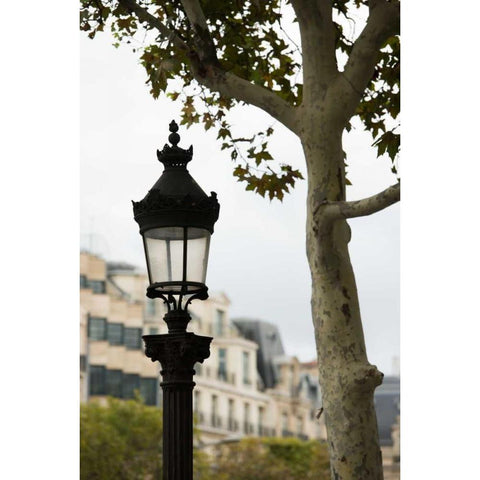 Parisian Lightposts II Black Modern Wood Framed Art Print with Double Matting by Berzel, Erin