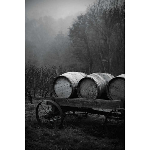 BW Oregon Wine Country II White Modern Wood Framed Art Print by Berzel, Erin