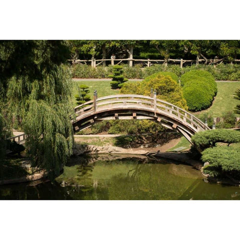 Moon Bridge I Black Modern Wood Framed Art Print by Berzel, Erin