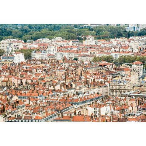 Lyon Rooftops I Black Modern Wood Framed Art Print with Double Matting by Berzel, Erin