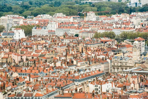 Lyon Rooftops I White Modern Wood Framed Art Print with Double Matting by Berzel, Erin