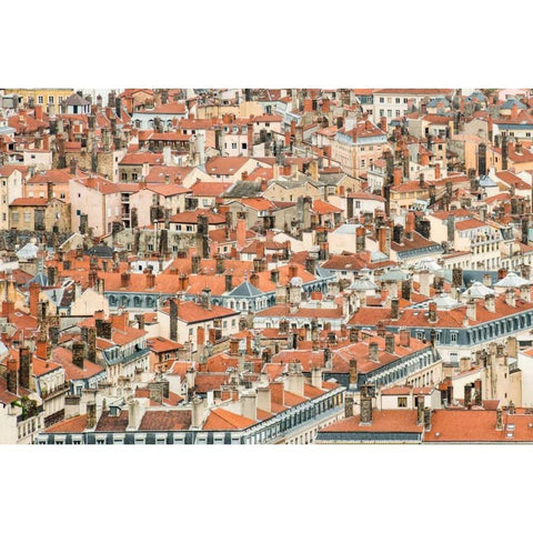 Lyon Rooftops II Black Modern Wood Framed Art Print with Double Matting by Berzel, Erin