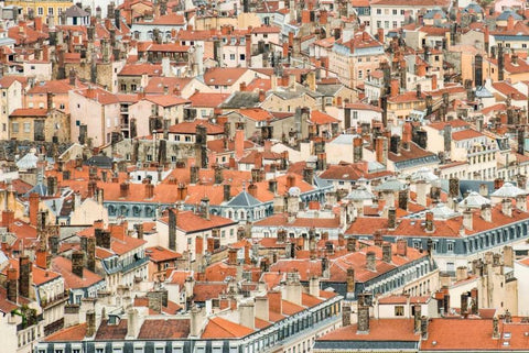 Lyon Rooftops II White Modern Wood Framed Art Print with Double Matting by Berzel, Erin