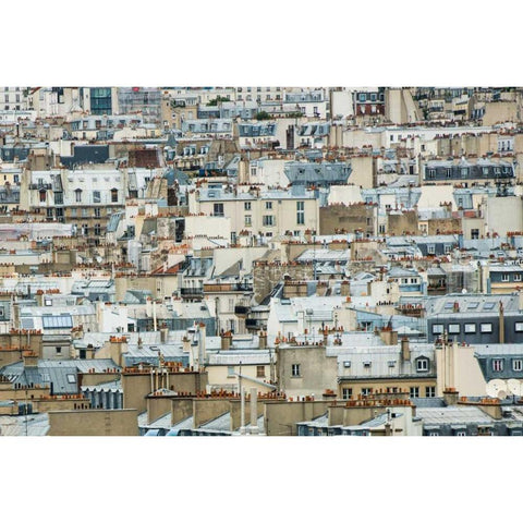 Paris Rooftops I Black Modern Wood Framed Art Print with Double Matting by Berzel, Erin