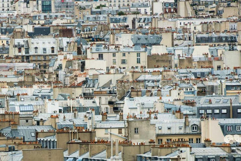 Paris Rooftops I Black Ornate Wood Framed Art Print with Double Matting by Berzel, Erin