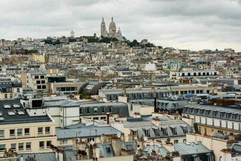 Paris Rooftops II Black Ornate Wood Framed Art Print with Double Matting by Berzel, Erin