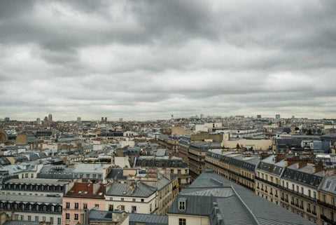 Paris Rooftops III Black Ornate Wood Framed Art Print with Double Matting by Berzel, Erin