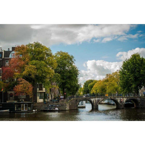 Autumn in Amsterdam White Modern Wood Framed Art Print by Berzel, Erin