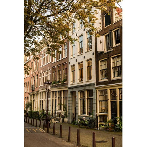 Amsterdam Neighborhood I Gold Ornate Wood Framed Art Print with Double Matting by Berzel, Erin