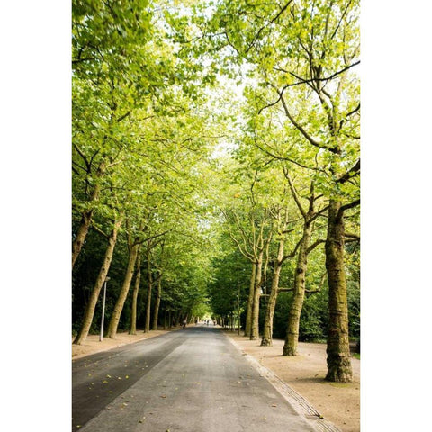 Amsterdam Vondelpark II White Modern Wood Framed Art Print by Berzel, Erin