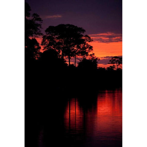 Angkor Sunset II Black Modern Wood Framed Art Print with Double Matting by Berzel, Erin