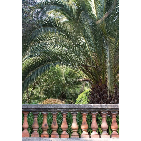 Palace Garden Palms II Gold Ornate Wood Framed Art Print with Double Matting by Crane, Rita