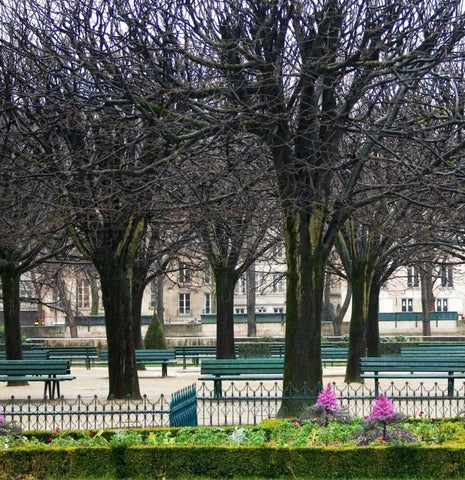 Jardin de Notre Dame I Black Ornate Wood Framed Art Print with Double Matting by Crane, Rita