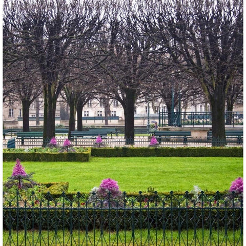 Jardin de Notre Dame II White Modern Wood Framed Art Print by Crane, Rita