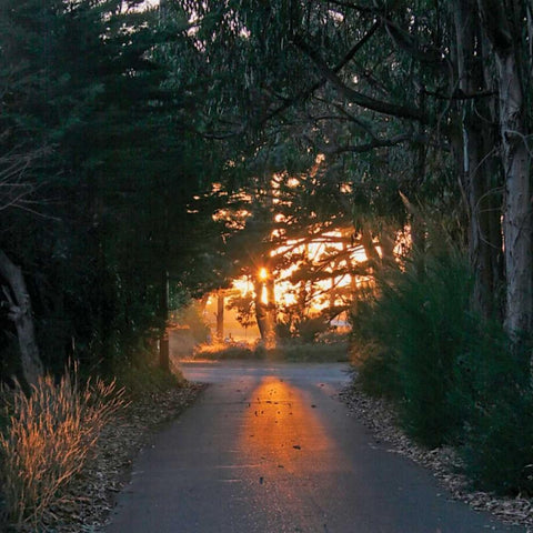 The Road Home White Modern Wood Framed Art Print by Crane, Rita