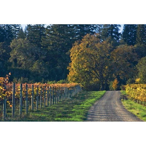 After the Harvest I Gold Ornate Wood Framed Art Print with Double Matting by Crane, Rita