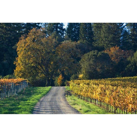 After the Harvest II Gold Ornate Wood Framed Art Print with Double Matting by Crane, Rita