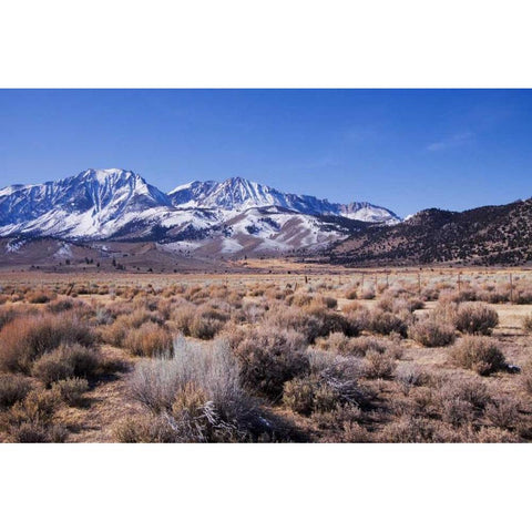 Eastern Sierra I White Modern Wood Framed Art Print by Crane, Rita