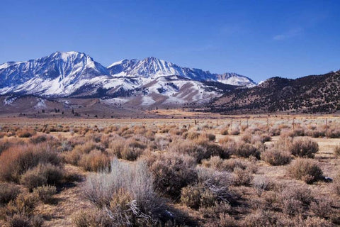 Eastern Sierra I Black Ornate Wood Framed Art Print with Double Matting by Crane, Rita