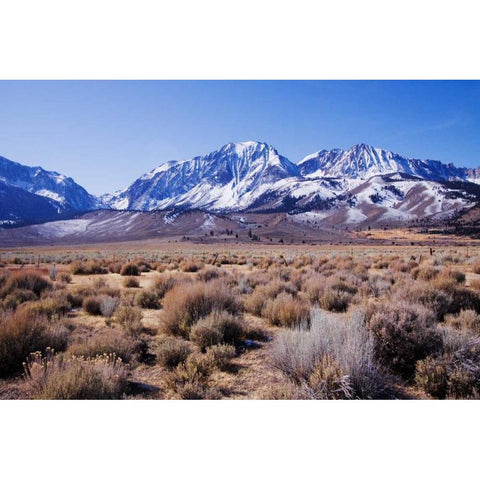 Eastern Sierra II White Modern Wood Framed Art Print by Crane, Rita