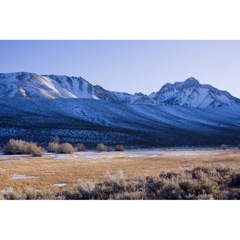 Eastern Sierra IV Gold Ornate Wood Framed Art Print with Double Matting by Crane, Rita