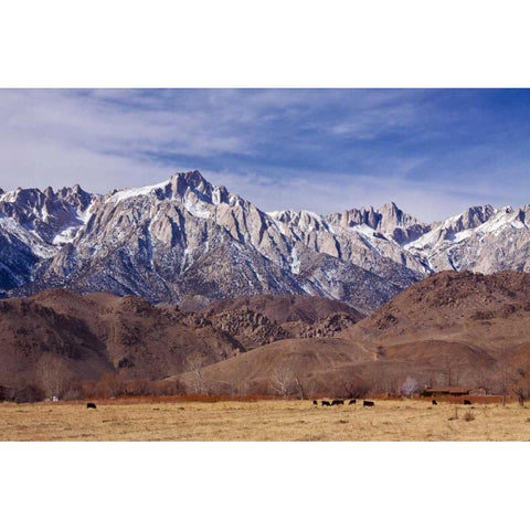 Mt. Whitney Range I Gold Ornate Wood Framed Art Print with Double Matting by Crane, Rita