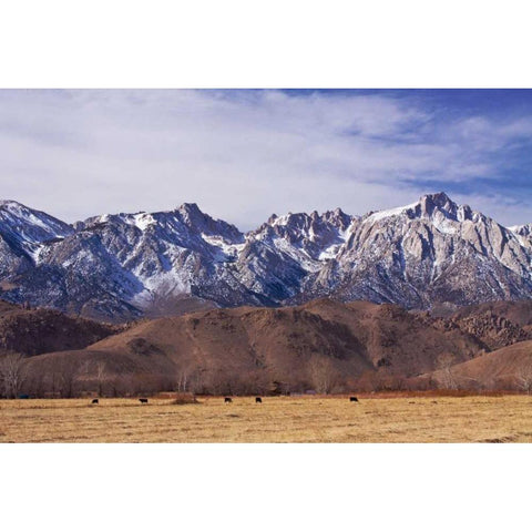 Mt. Whitney Range II Gold Ornate Wood Framed Art Print with Double Matting by Crane, Rita