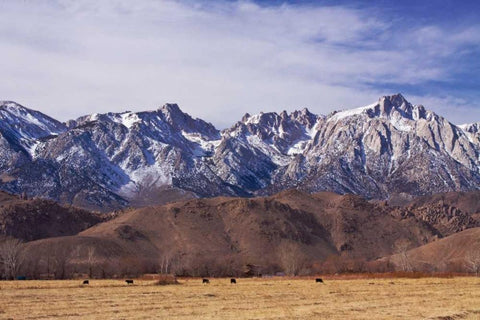 Mt. Whitney Range II White Modern Wood Framed Art Print with Double Matting by Crane, Rita