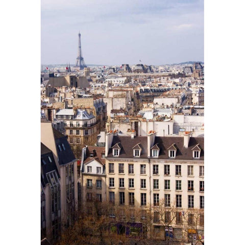 Paris Rooftops II Gold Ornate Wood Framed Art Print with Double Matting by Crane, Rita