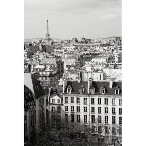 Paris Rooftops VI Black Modern Wood Framed Art Print with Double Matting by Crane, Rita