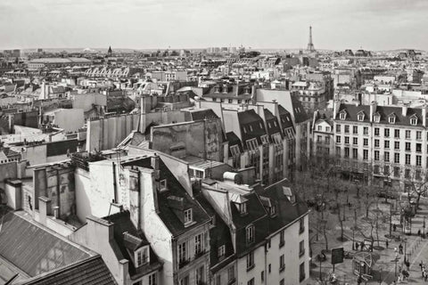 Paris Rooftops VII White Modern Wood Framed Art Print with Double Matting by Crane, Rita