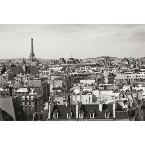 Paris Rooftops VIII Black Modern Wood Framed Art Print with Double Matting by Crane, Rita