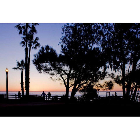 Sunset Promenade II Black Modern Wood Framed Art Print with Double Matting by Crane, Rita