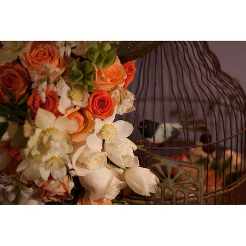 Flowers and Bird Cage I White Modern Wood Framed Art Print by Crane, Rita