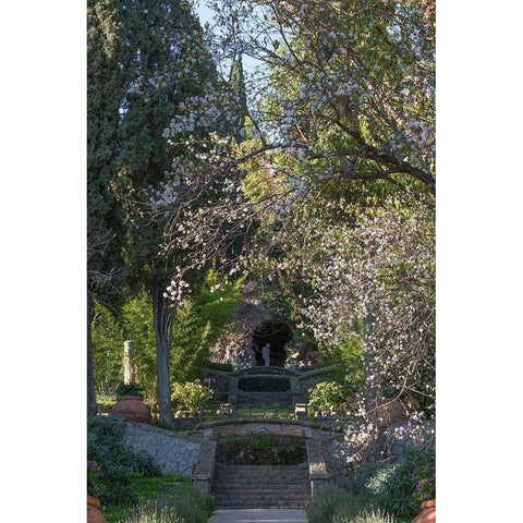 Italian Garden II White Modern Wood Framed Art Print by Crane, Rita