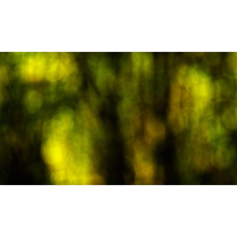 Dream Forest I White Modern Wood Framed Art Print by Crane, Rita