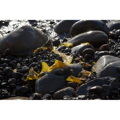 Rocky Shore I White Modern Wood Framed Art Print by Crane, Rita