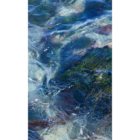 Tide Pool I Black Modern Wood Framed Art Print with Double Matting by Crane, Rita