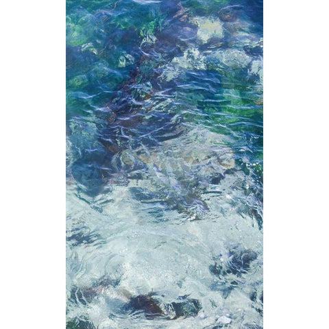 Tide Pool II Black Modern Wood Framed Art Print with Double Matting by Crane, Rita