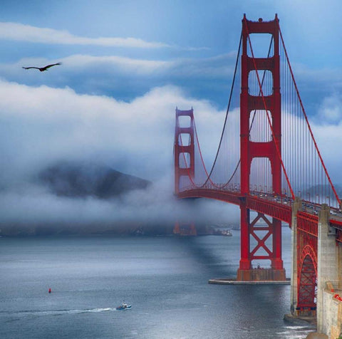 Golden Gate Bridge VIII White Modern Wood Framed Art Print with Double Matting by Crane, Rita