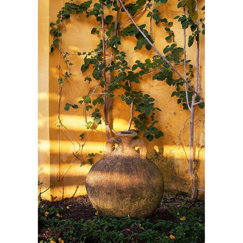 Riviera Garden Detail II White Modern Wood Framed Art Print by Crane, Rita