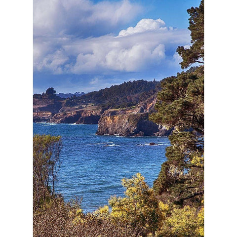 Along the Bluffs I Black Modern Wood Framed Art Print by Crane, Rita