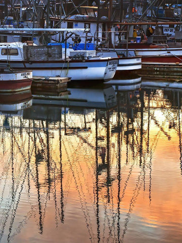 Harbor Reflections II Black Ornate Wood Framed Art Print with Double Matting by Crane, Rita