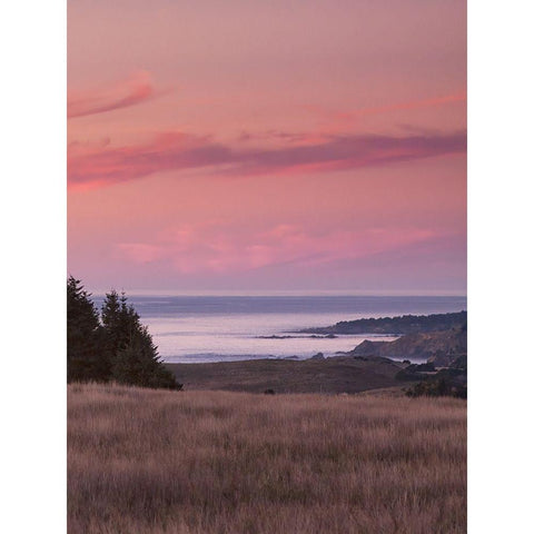 Rosy Coastal Sunset I Black Modern Wood Framed Art Print with Double Matting by Crane, Rita