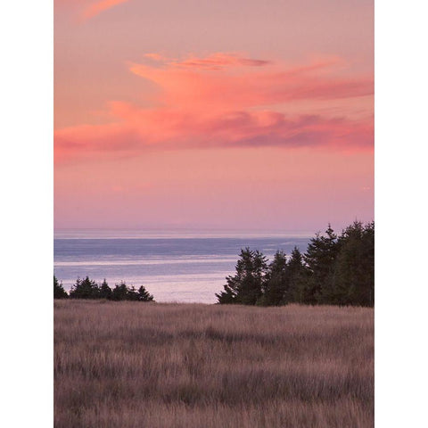 Rosy Coastal Sunset II Black Modern Wood Framed Art Print with Double Matting by Crane, Rita