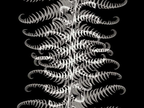 Ferns I Black Ornate Wood Framed Art Print with Double Matting by Christensen, Jim